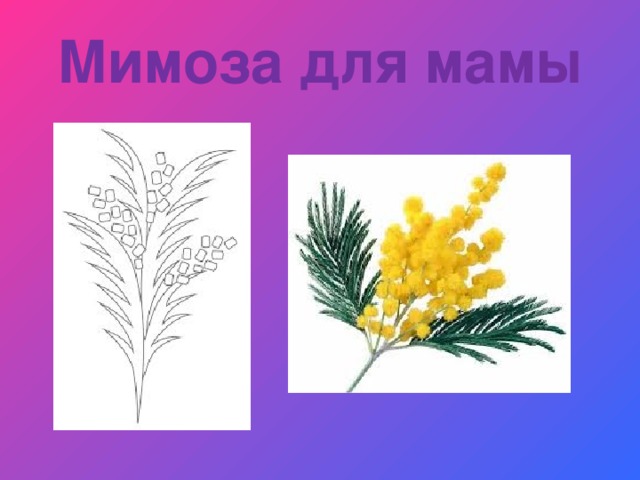 Мимоза для мамы 