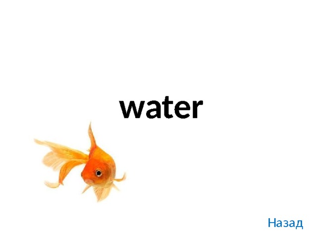 water Назад 