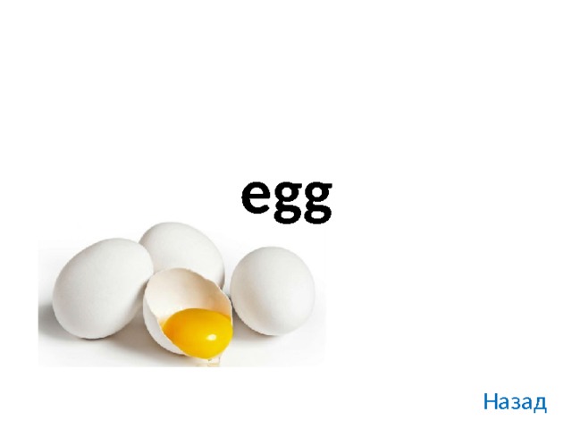 egg Назад 