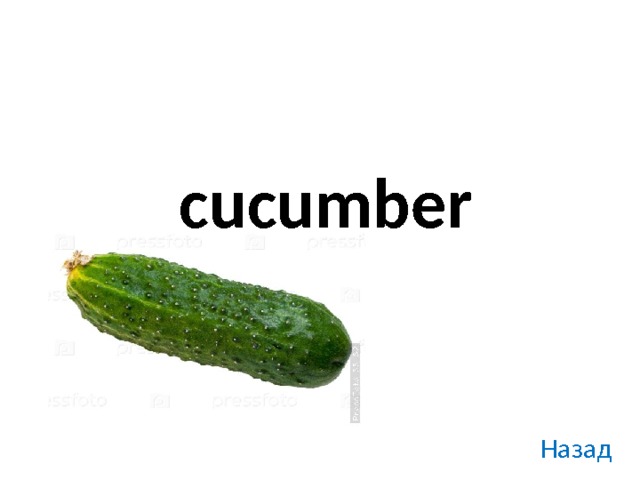 cucumber Назад 