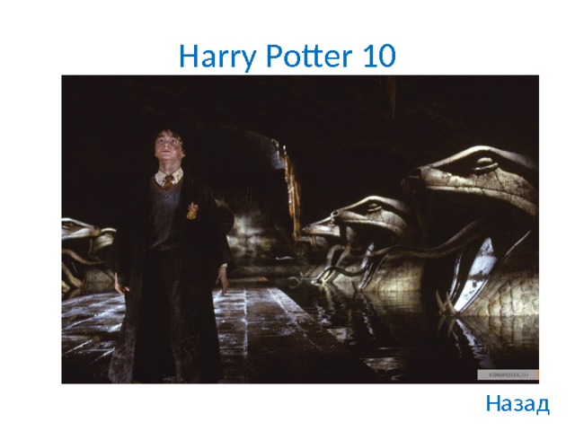 Harry Potter 10 Назад 