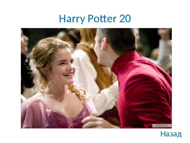 Harry Potter 20 Назад 