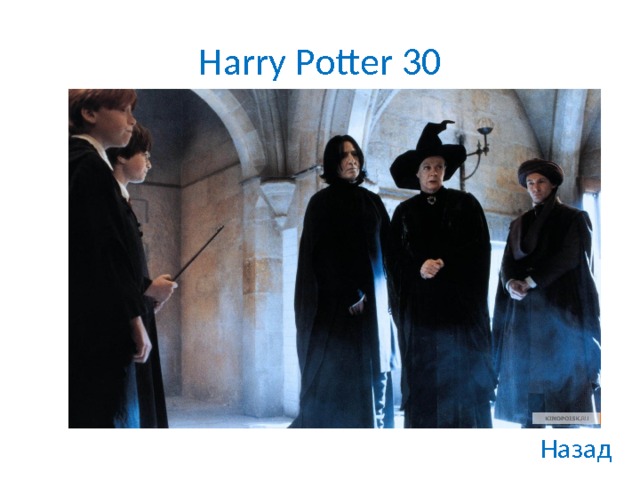 Harry Potter 30 Назад 