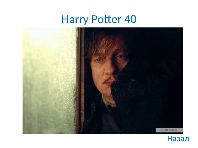 Harry Potter 40 Назад 