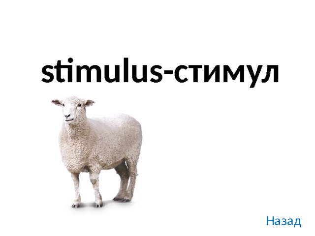 stimulus-стимул Назад 