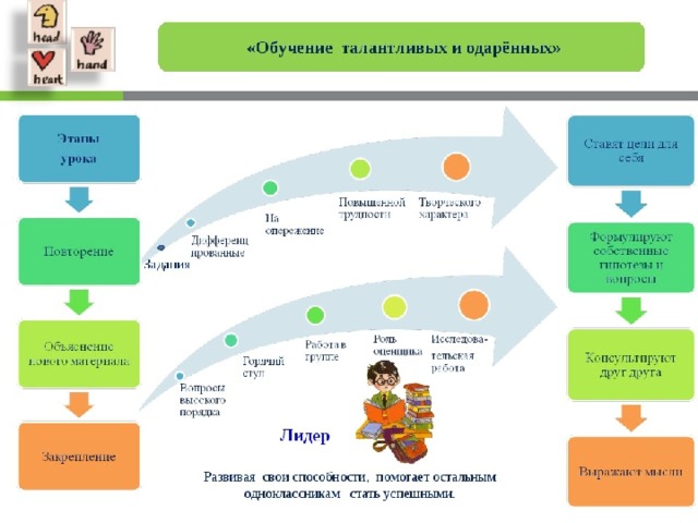 Система 07 образования. Модули обучения. Стратегии обучения одарённых детей. Учеба по модулям. Программа семи модулей обучения.