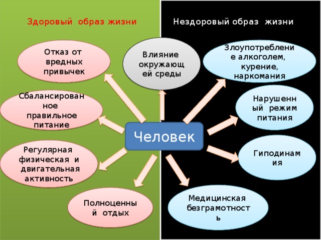 Здоровый образ жизни Нездоровый образ жизни Влияние окружающей среды Злоупотребление алкоголем, курение, наркомания Отказ от вредных привычек Нарушенный режим питания Сбалансированное правильное питание Человек Гиподинамия Регулярная физическая и двигательная активность Медицинская безграмотность Полноценный отдых 