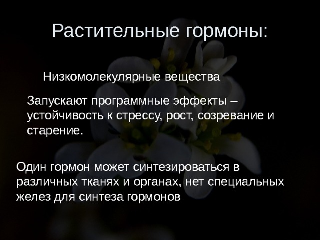 Растительные гормоны: Низкомолекулярные вещества Запускают программные эффекты – устойчивость к стрессу, рост, созревание и старение. Один гормон может синтезироваться в различных тканях и органах, нет специальных желез для синтеза гормонов 