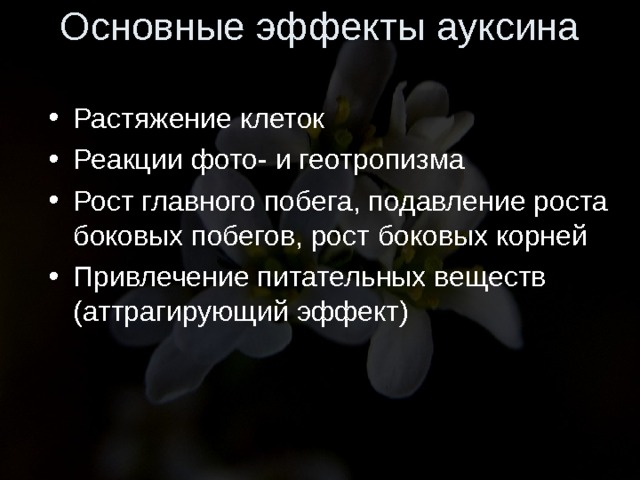 Основные эффекты ауксина Растяжение клеток Реакции фото- и геотропизма Рост главного побега, подавление роста боковых побегов, рост боковых корней Привлечение питательных веществ (аттрагирующий эффект) 
