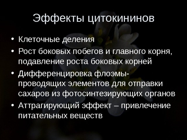 Эффекты цитокининов Клеточные деления Рост боковых побегов и главного корня, подавление роста боковых корней Дифференцировка флоэмы- проводящих элементов для отправки сахаров из фотосинтезирующих органов Аттрагирующий эффект – привлечение питательных веществ  
