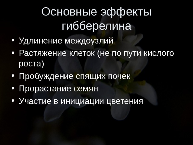 Основные эффекты гибберелина Удлинение междоузлий Растяжение клеток (не по пути кислого роста) Пробуждение спящих почек Прорастание семян Участие в инициации цветения   