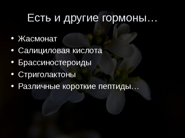 Презентация гормоны растений