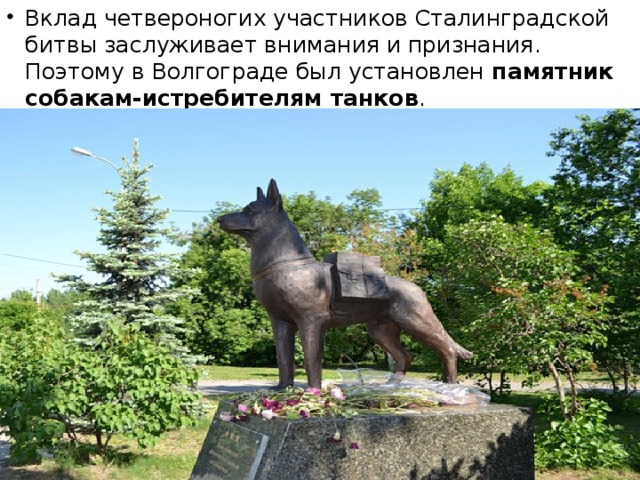 Вклад четвероногих участников Сталинградской битвы заслуживает внимания и признания. Поэтому в Волгограде был установлен памятник собакам-истребителям танков .  