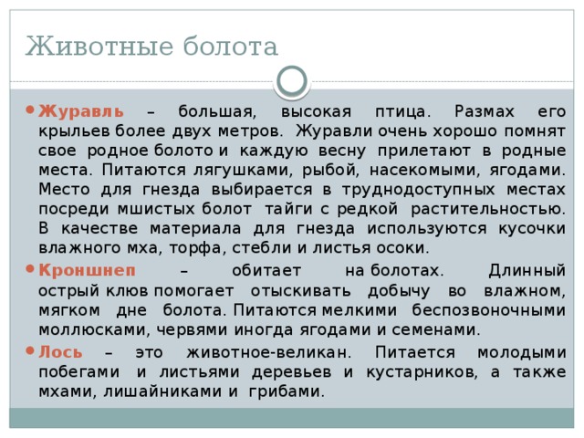 Животные болота Журавль – большая, высокая птица. Размах его крыльев более двух метров.  Журавли очень хорошо помнят свое родное болото и каждую весну прилетают в родные места. Питаются лягушками, рыбой, насекомыми, ягодами. Место для гнезда выбирается в труднодоступных местах посреди мшистых болот  тайги с редкой  растительностью. В качестве материала для гнезда используются кусочки влажного мха, торфа, стебли и листья осоки. Кроншнеп  –  обитает на болотах. Длинный острый клюв помогает отыскивать добычу во влажном, мягком дне болота. Питаются мелкими беспозвоночными моллюсками, червями иногда ягодами и семенами. Лось – это животное-великан.  Питается молодыми побегами  и листьями деревьев и кустарников, а также мхами, лишайниками и  грибами. 