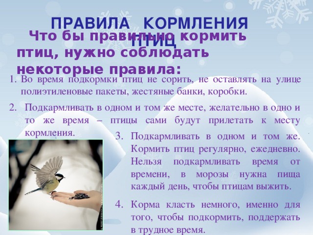 ПРАВИЛА КОРМЛЕНИЯ ПТИЦ Что бы правильно кормить птиц, нужно соблюдать некоторые правила: Во время подкормки птиц не сорить, не оставлять на улице полиэтиленовые пакеты, жестяные банки, коробки. Подкармливать в одном и том же месте, желательно в одно и то же время – птицы сами будут прилетать к месту кормления. Подкармливать в одном и том же. Кормить птиц регулярно, ежедневно. Нельзя подкармливать время от времени, в морозы нужна пища каждый день, чтобы птицам выжить. Корма класть немного, именно для того, чтобы подкормить, поддержать в трудное время. 