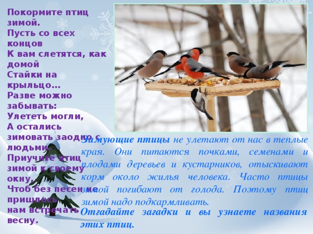 Покормите птиц зимой. Пусть со всех концов К вам слетятся, как домой Стайки на крыльцо… Разве можно забывать: Улететь могли, А остались зимовать заодно с людьми. Приучите птиц зимой к своему окну, Чтоб без песен не пришлось нам встречать весну. Зимующие птицы не улетают от нас в теплые края. Они питаются почками, семенами и плодами деревьев и кустарников, отыскивают корм около жилья человека. Часто птицы зимой погибают от голода. Поэтому птиц зимой надо подкармливать. Отгадайте загадки и вы узнаете названия этих птиц. 