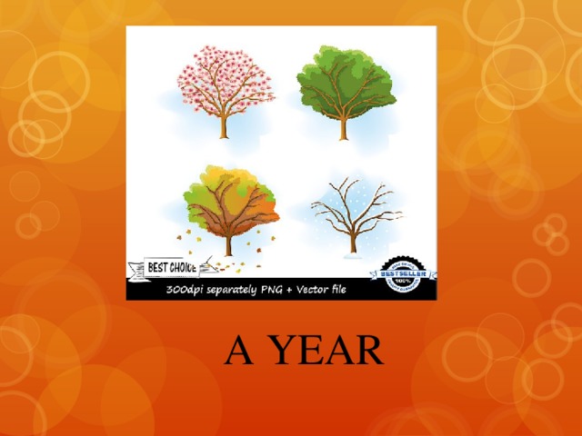 A YEAR