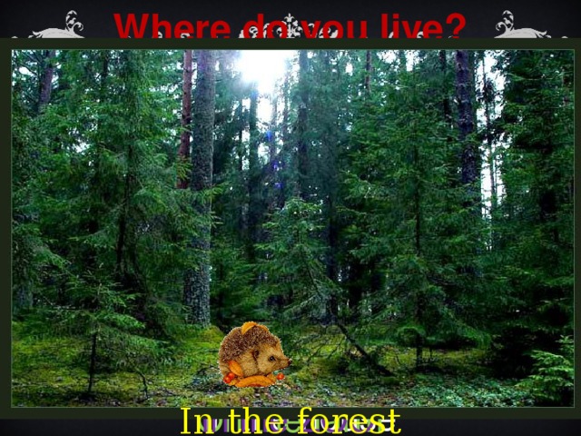 Where do you live? In the house In the ZOO On the farm  In the forest  
