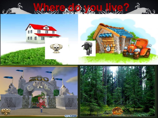 Where do you live? 