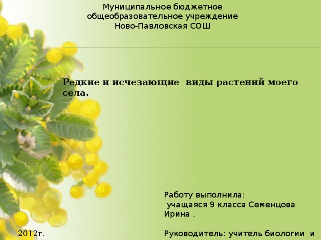 Муниципальное бюджетное общеобразовательное учреждение Ново-Павловская СОШ Редкие и исчезающие виды растений моего села. Работу выполнила:  учащаяся 9 класса Семенцова Ирина . Руководитель: учитель биологии и химии Дашевская Татьяна Васильевна. 2012г. 