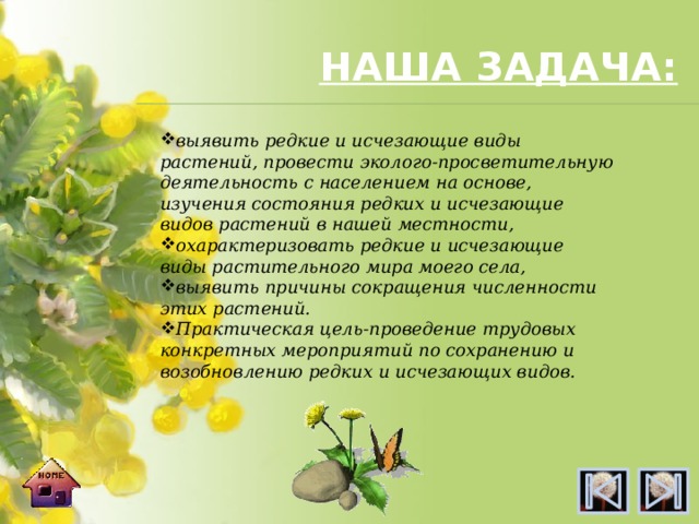 НАША ЗАДАЧА: выявить редкие и исчезающие виды растений, провести эколого-просветительную деятельность с населением на основе, изучения состояния редких и исчезающие видов растений в нашей местности, охарактеризовать редкие и исчезающие виды растительного мира моего села, выявить причины сокращения численности этих растений. Практическая цель-проведение трудовых конкретных мероприятий по сохранению и возобновлению редких и исчезающих видов. 