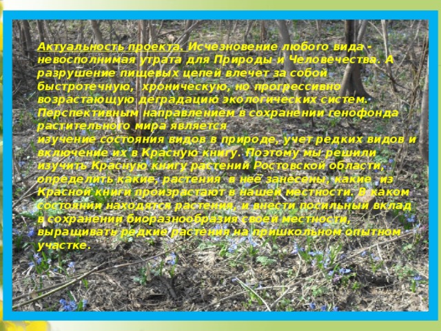 Актуальность проекта. Исчезновение любого вида - невосполнимая утрата для Природы и Человечества. А разрушение пищевых цепей влечет за собой быстротечную, хроническую, но прогрессивно возрастающую деградацию экологических систем. Перспективным направлением в сохранении генофонда растительного мира является изучение состояния видов в природе, учет редких видов и включение их в Красную книгу. Поэтому мы решили изучить Красную книгу растений Ростовской области, определить какие, растения в неё занесены, какие из Красной книги произрастают в нашей местности. В каком состоянии находятся растения, и внести посильный вклад в сохранении биоразнообразия своей местности, выращивать редкие растения на пришкольном опытном участке. 