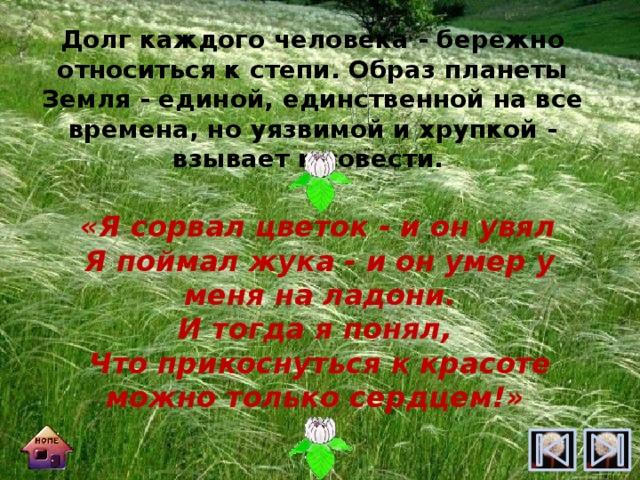 Долг каждого человека - бережно относиться к степи. Образ планеты Земля - единой, единственной на все времена, но уязвимой и хрупкой - взывает к совести. «Я сорвал цветок - и он увял  Я поймал жука - и он умер у меня на ладони. И тогда я понял, Что прикоснуться к красоте можно только сердцем!» 