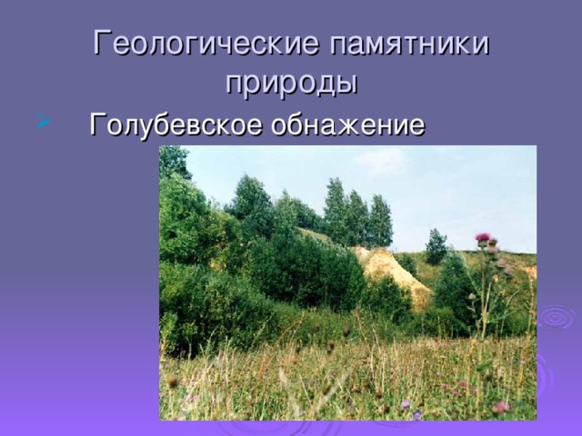 Геологические памятники природы  Голубевское обнажение 