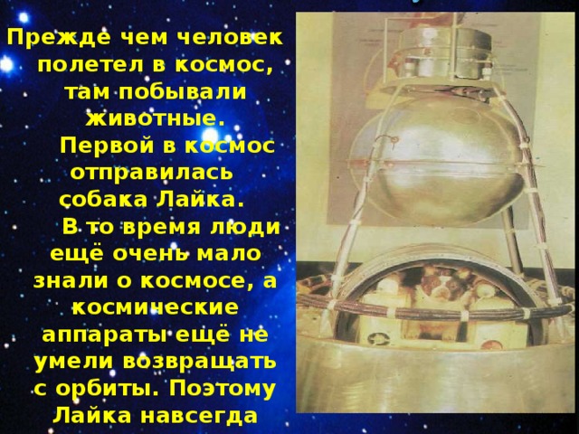 Прежде чем человек полетел в космос, там побывали животные.  Первой в космос отправилась собака Лайка.  В то время люди ещё очень мало знали о космосе, а космические аппараты ещё не умели возвращать с орбиты. Поэтому Лайка навсегда осталась в космическом пространстве.