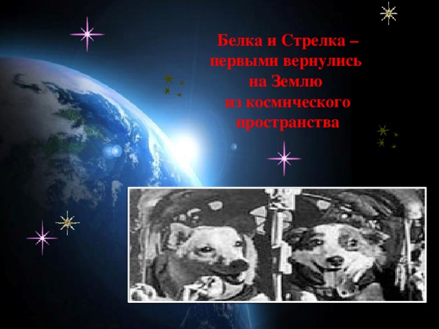 Белка и Стрелка – первыми вернулись на Землю из космического пространства