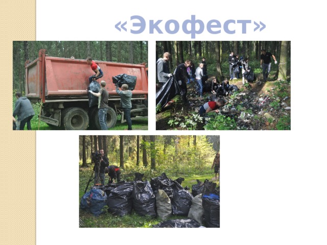  «Экофест» 
