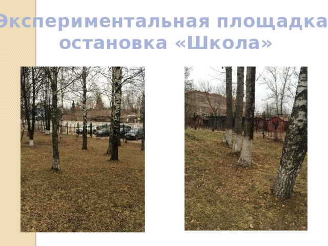 Экспериментальная площадка: остановка «Школа» 