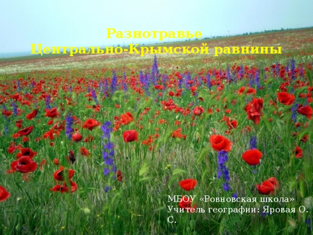 Разнотравье  Центрально-Крымской равнины МБОУ «Ровновская школа» Учитель географии: Яровая О. С.  