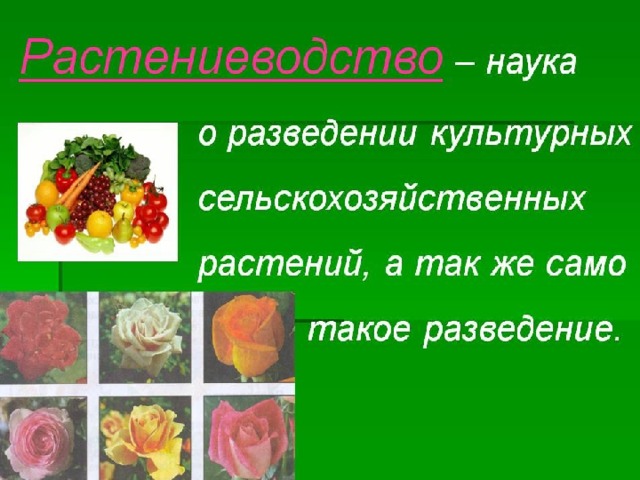 Проект по окружающему миру 4 класс полеводство