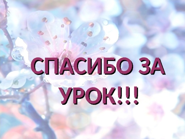 СПАСИБО ЗА УРОК!!!   