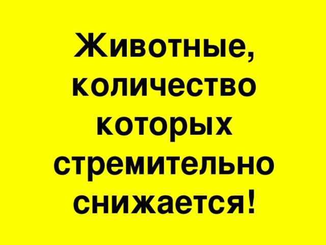 Животные, количество которых стремительно снижается! 