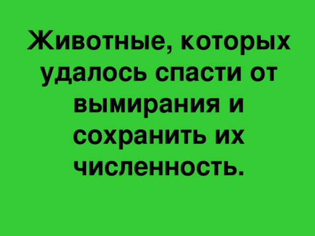 Животные, которых удалось спасти от вымирания и сохранить их численность. 