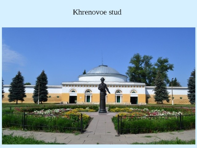 Khrenovoe stud 