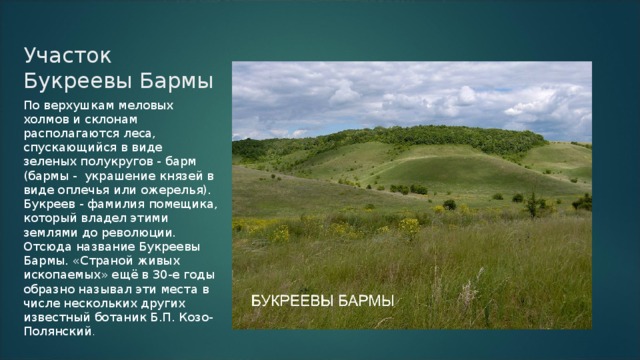 Участок Букреевы Бармы По верхушкам меловых холмов и склонам располагаются леса, спускающийся в виде зеленых полукругов - барм (бармы -  украшение князей в виде оплечья или ожерелья). Букреев - фамилия помещика, который владел этими землями до революции. Отсюда название Букреевы Бармы. «Страной живых ископаемых» ещё в 30-е годы образно называл эти места в числе нескольких других известный ботаник Б.П. Козо-Полянский .  
