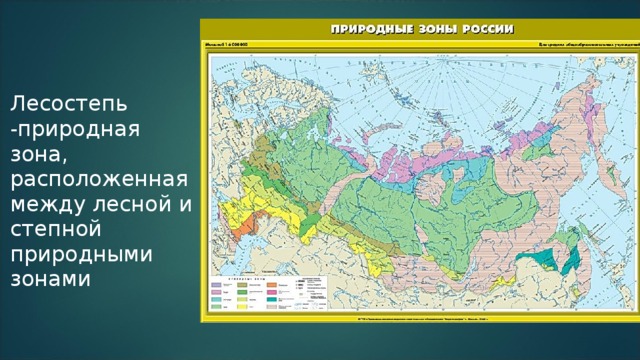 Лесостепь -природная зона, расположенная между лесной и степной природными зонами   