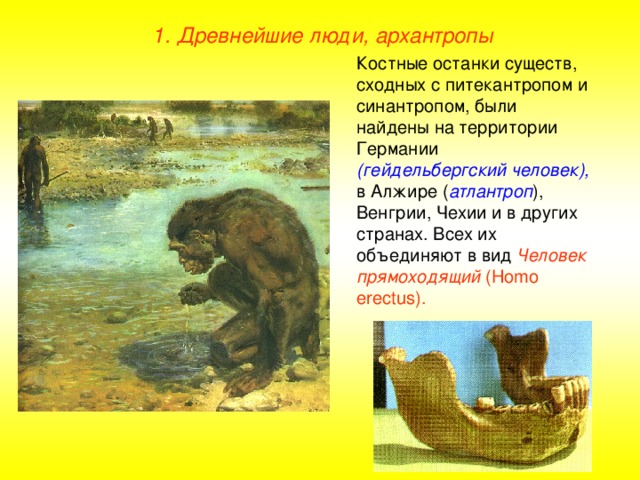 1. Древнейшие люди, архантропы Костные останки существ, сходных с питекантропом и синантропом, были найдены на территории Германии (гейдельбергский человек), в Алжире ( атлантроп ), Венгрии, Чехии и в других странах. Всех их объединяют в вид Человек прямоходящий ( Homo erectus ).