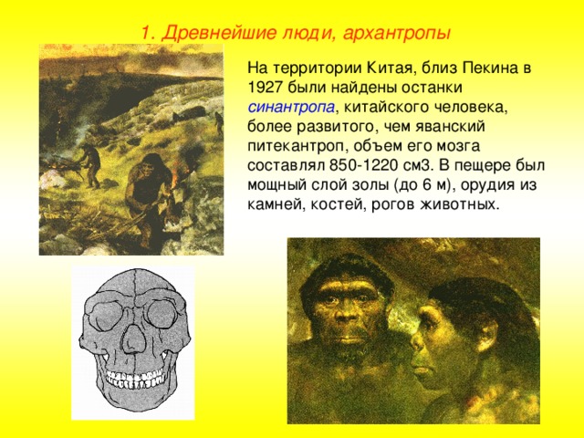 1. Древнейшие люди, архантропы На территории Китая, близ Пекина в 1927 были найдены останки синантропа , китайского человека, более развитого, чем яванский питекантроп, объем его мозга составлял 850-1220 см3. В пещере был мощный слой золы (до 6 м), орудия из камней, костей, рогов животных.