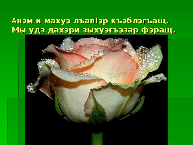  А нэм и махуэ лъапIэр къэблэгъащ.  Мы удз дахэри зыхуэгъэзар фэращ.   