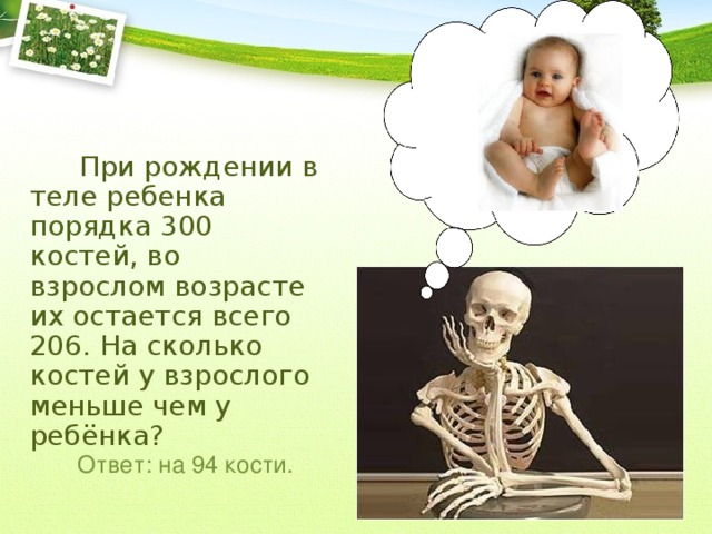 При рождении в теле ребенка порядка 300 костей, во взрослом возрасте их остается всего 206. На сколько костей у взрослого меньше чем у ребёнка? Ответ: на 94 кости. 