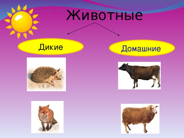 Животные Дикие Домашние  