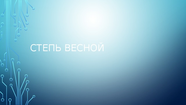 Степь весной 