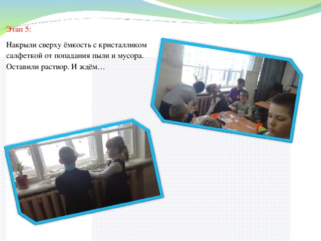 Этап 5: Накрыли сверху ёмкость с кристалликом салфеткой от попадания пыли и мусора. Оставили раствор. И ждём…         