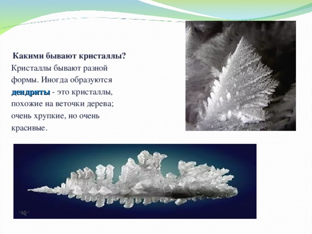  Какими бывают кристаллы?  Кристаллы бывают разной формы. Иногда образуются дендриты  - это кристаллы, похожие на веточки дерева; очень хрупкие, но очень красивые.  