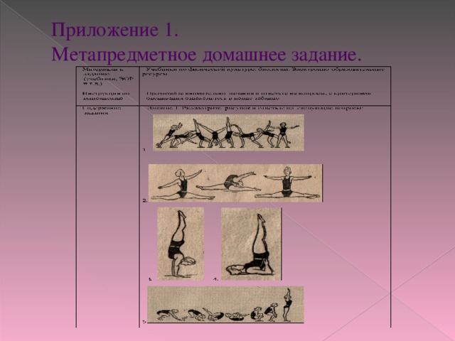 Приложение 1.  Метапредметное домашнее задание. 