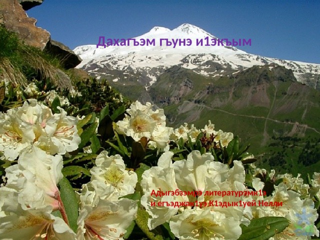 Дахагъэм гъунэ и1экъым Адыгэбзэмрэ литературэмк1э и егъэджак1уэ К1эдык1уей Нелли 